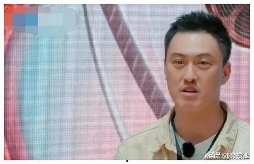 娱乐圈吃瓜王子是谁,揭秘神秘“吃瓜”达人身份